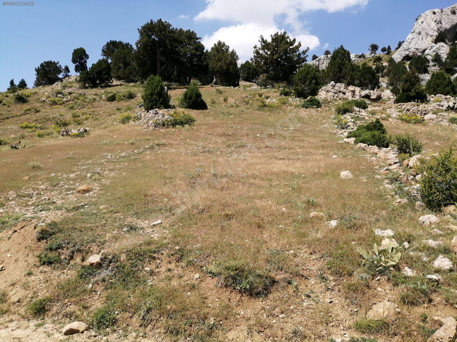 Meyva Bahçesi Yapmaya uygun İmamlı Yaylasında Tarla 1.793 m² ANTALYA ALANYA - ANTALYA ALANYA fotoğraf 9