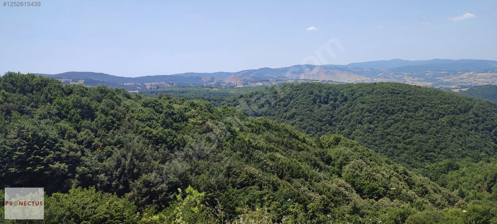 FULACIK MAHALLESİ'NDE ASFALT YOLA CEPHE 836 M2 SATILIK TARLA - KOCAELİ KARAMÜRSEL fotoğraf 4