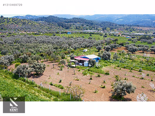 Kemalpaşa Halilbeylide Satılık 3000 m2 Bahçe 40 m2 Ev - İZMİR KEMALPAŞA fotoğraf 31
