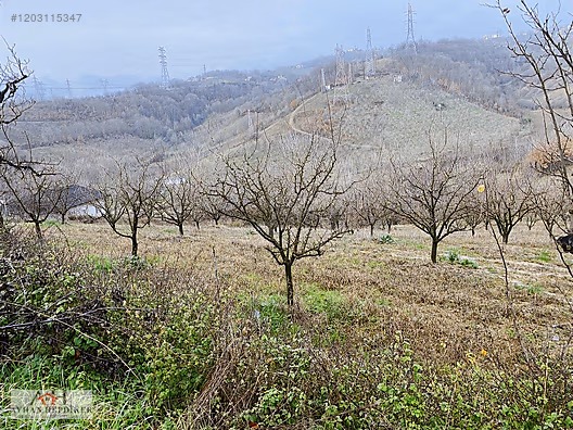 Serdivan Esentepe'de Satılık Arsalar - Yatırım Fırsatı! - SAKARYA SERDİVAN fotoğraf 58