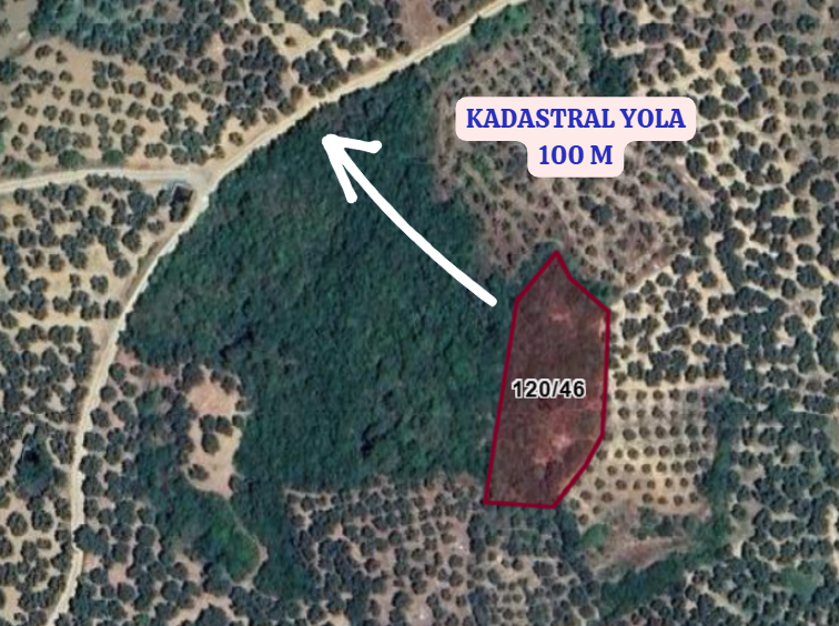BURSA MUDANYA TİRİLYE (HALİLBEY) 1.853 M² TARLA SATILIKTIR. - BURSA MUDANYA fotoğraf 4