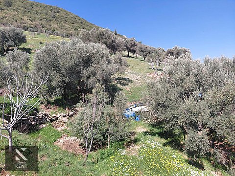 Kemalpaşa Soğukpınar İmar Gelişim Alanında Satılık 2,877m2 Bahçe - İZMİR KEMALPAŞA fotoğraf 9