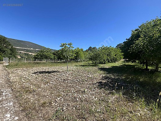BURSA KELEŞ IDENİZLER 1.450  M²  TARLA  SATILIKTIR. - BURSA KELES fotoğraf 10