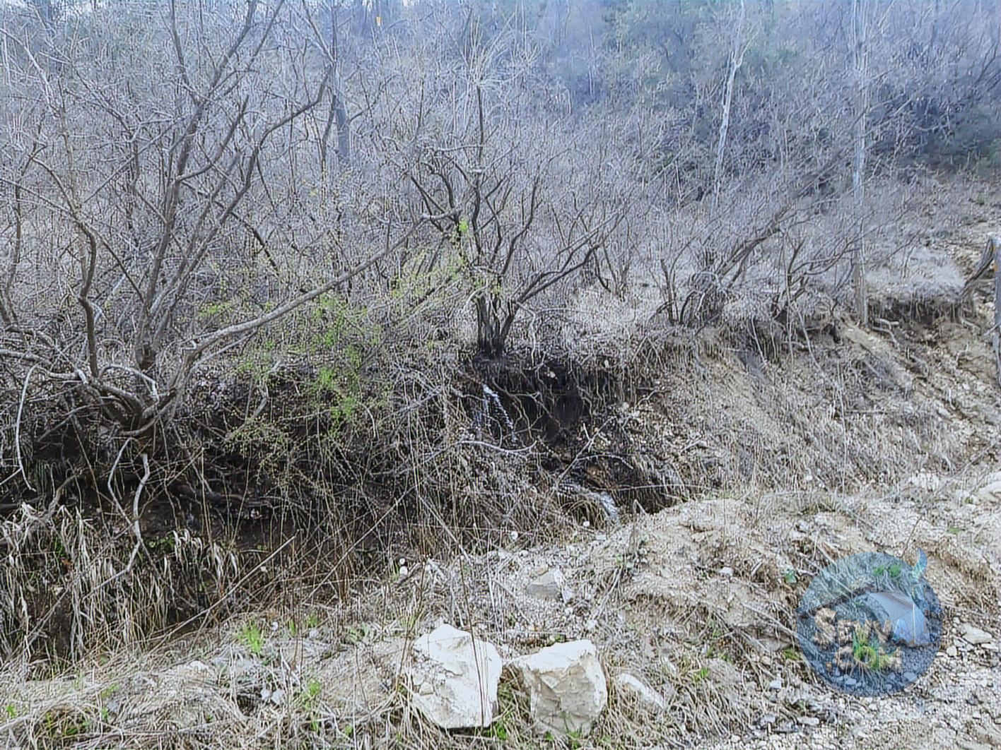 ASYA EVİM EMLAKTAN AĞLASUN YEŞİLBAŞKÖY DE SATILIK TARLA - Burdur Ağlasun fotoğraf 5