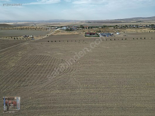 UĞURLU EMLAK OFİSİNDEN GEDİKLİ MAHALLESİNDE SATILIK ARSA - ANKARA POLATLI fotoğraf 6