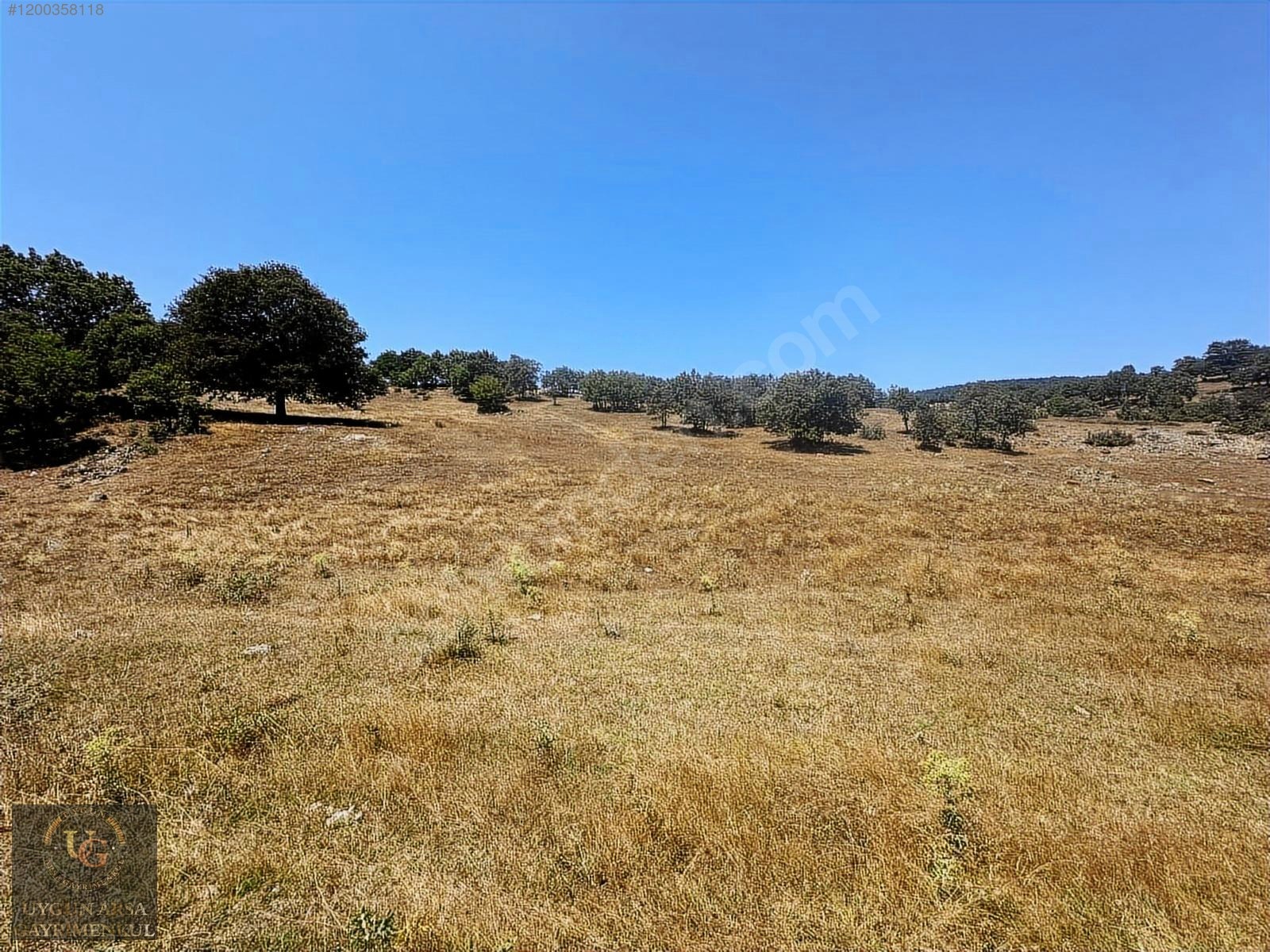 KÜTAHYA TAVŞANLI ANA YOLA CEPHE 6.466M2 UYGUN ARSA - KÜTAHYA TAVŞANLI fotoğraf 7
