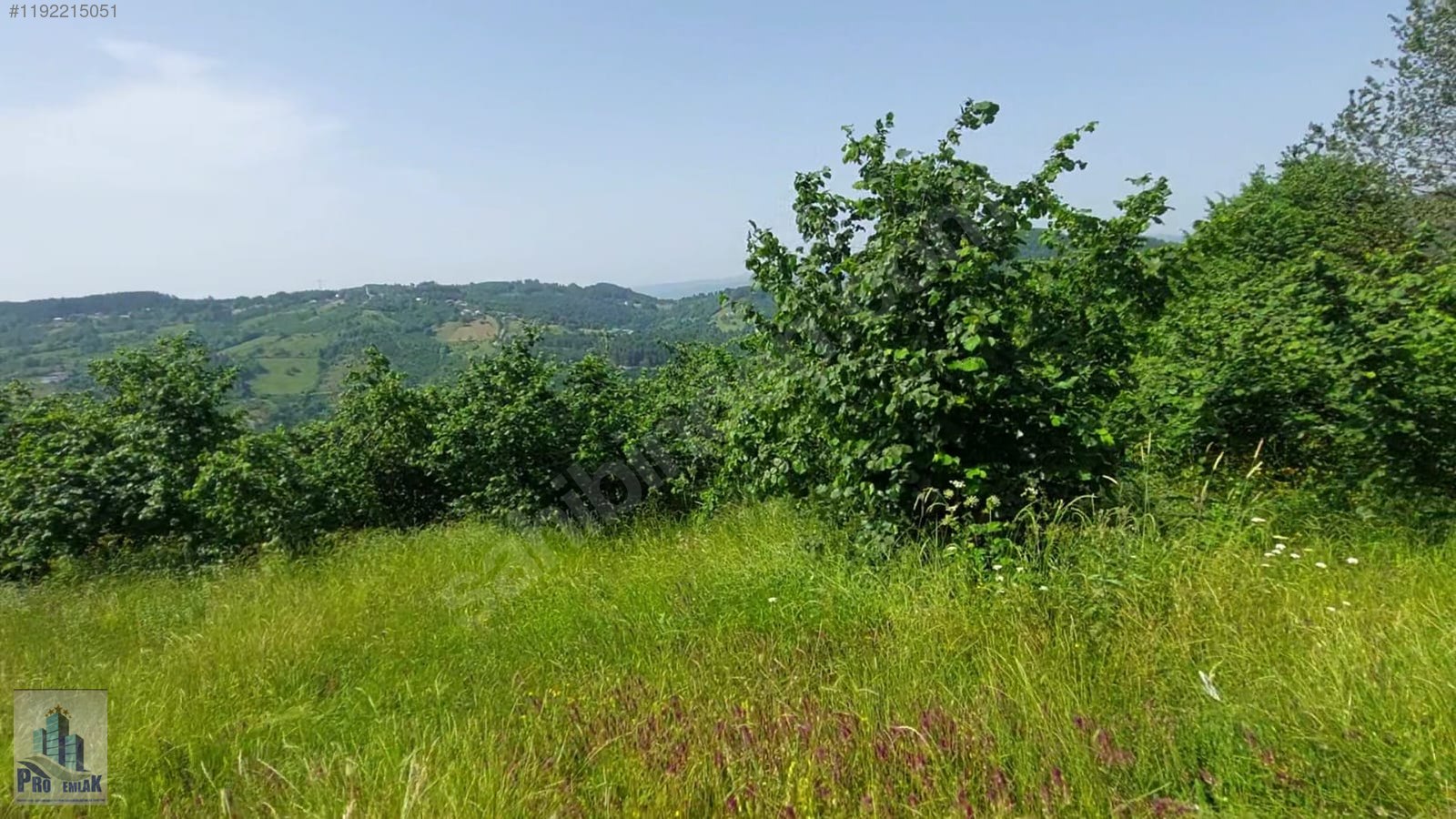 DÜZCE KAYNAŞLI BIÇKIYANI K TOPUK YAYLASINA 3KM İMARLI 750M2 ARSA - DÜZCE KAYNAŞLI fotoğraf 4
