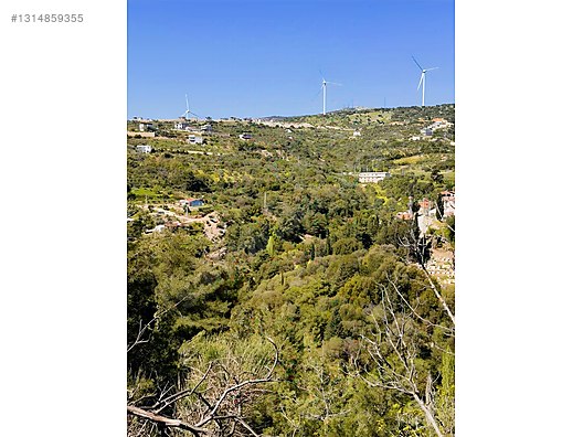PANORAMİK MANZARALI YATIRIMLIK ZEYTİNLİK - HATAY YAYLADAĞI fotoğraf 30