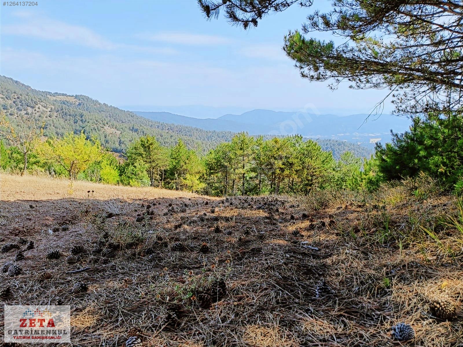 Sakarya Taraklı'da Manzaralı 5.291 m² Hobi Bahçesi/Yatırımlık - SAKARYA TARAKLI fotoğraf 6
