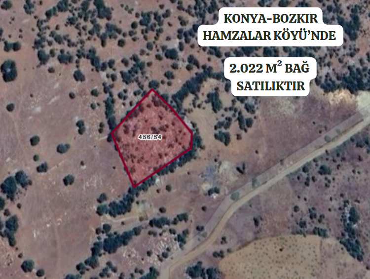 KONYA BOZKIR HAMZALAR KÖYÜNDE 2.022M² BAĞIMIZ SATILIKTIR. - KONYA BOZKIR fotoğraf 2