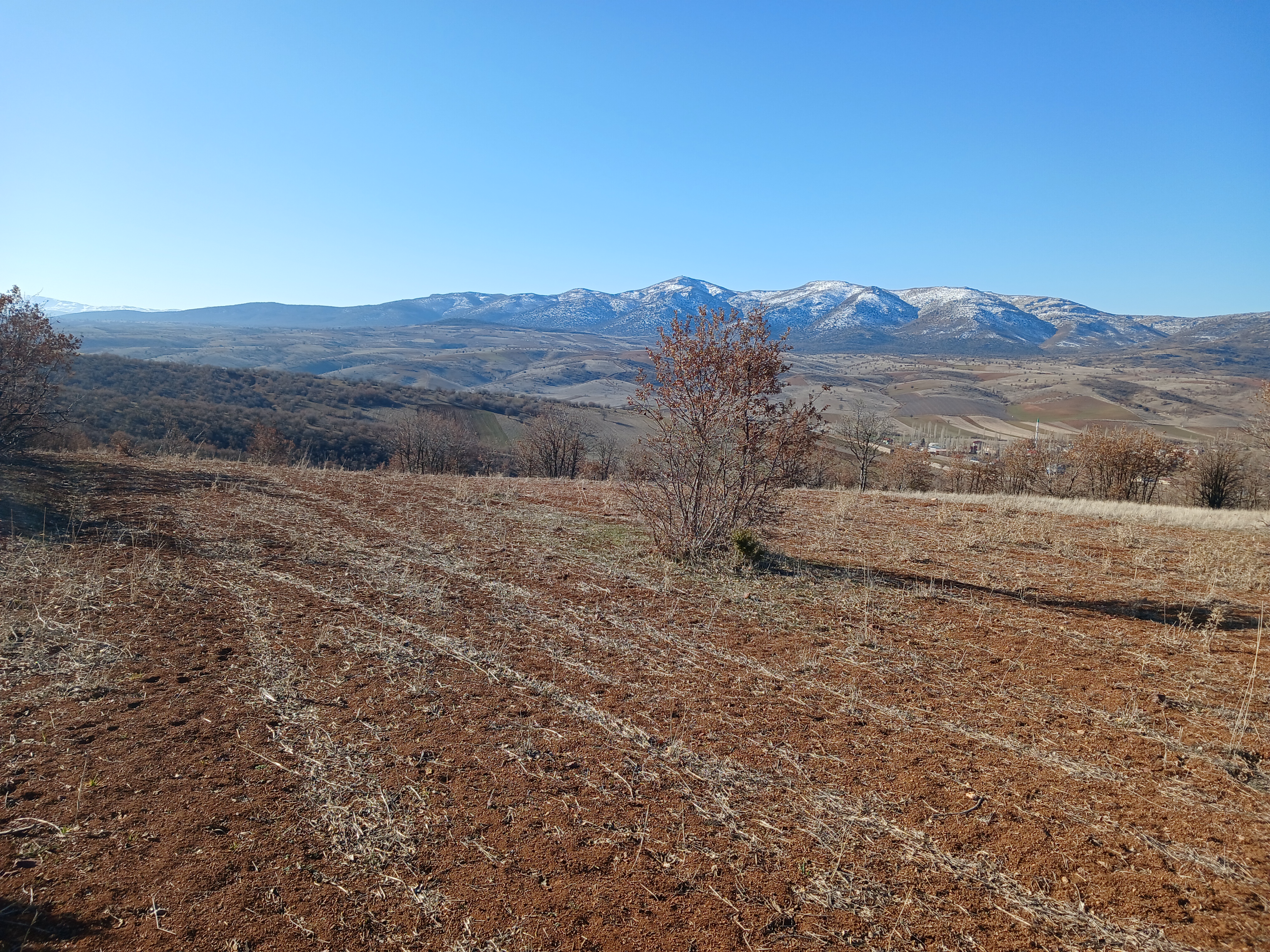 KONYA GÜNEYSINIR KAYAAĞZI 4.477M² TARLA SATILIKTIR - KONYA GÜNEYSINIR fotoğraf 7