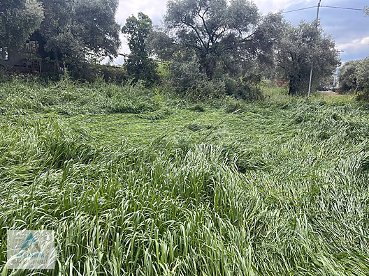 Atlantik gayrimenkul den satılık imarlı arsa - İZMİR ÖDEMİŞ fotoğraf 8