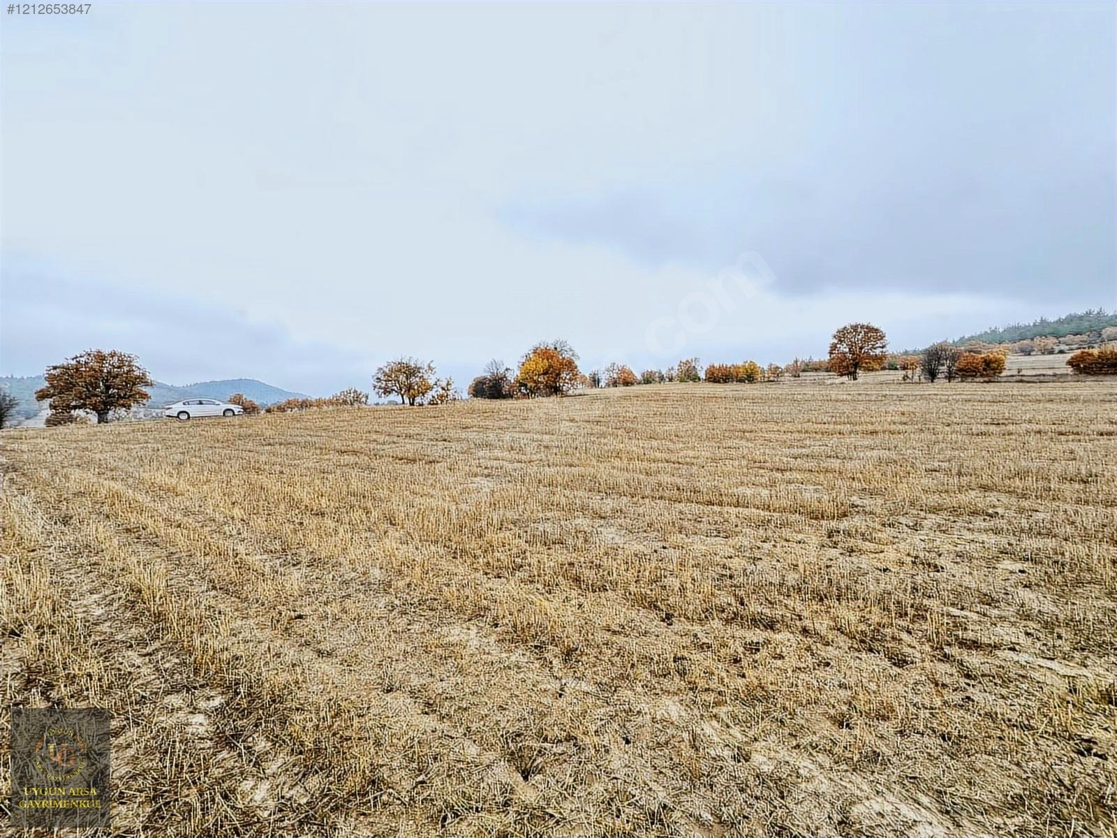 BOLU GÖYNÜK KARAARDIÇ'TA 4.921 M2 UYGUN ARSA - BOLU GÖYNÜK fotoğraf 5