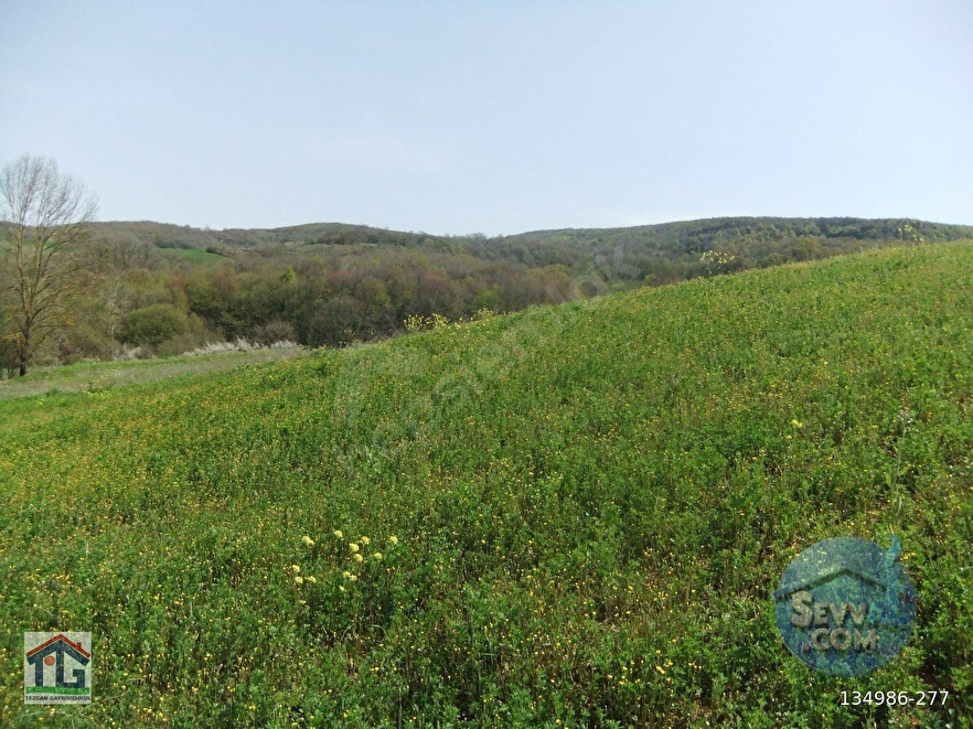 KOCAELİ/KANDIRA/AHMETHACILAR KÖYÜNDE SATILIK 2 PARSEL TARLA. - KOCAELİ KANDIRA fotoğraf 18