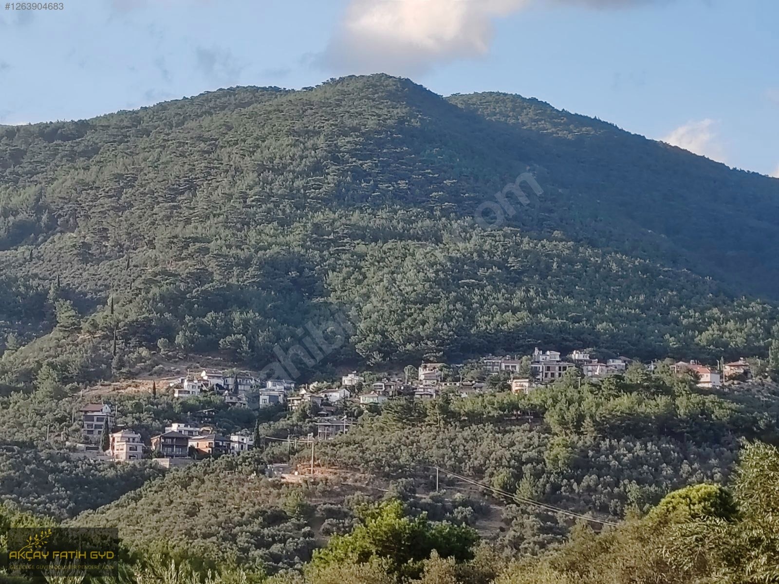 Zeytinli de 8.5 Dönüm SATILIK Zeytinlik - BALIKESİR EDREMİT fotoğraf 22