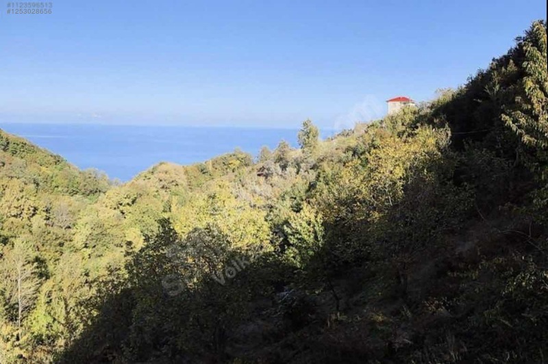 Yatırımlık villa arsası - TRABZON AKÇAABAT fotoğraf 6
