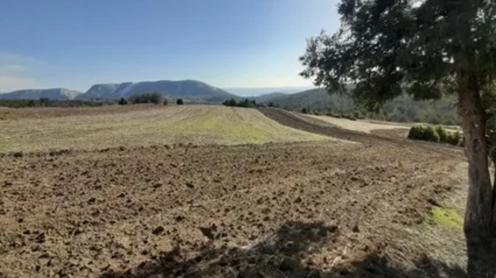BİLECİK YENİPAZAR CAFERLER KÖYÜNDE 2.836 M² TARLA SATILIKTIR. - BİLECİK YENİPAZAR fotoğraf 10