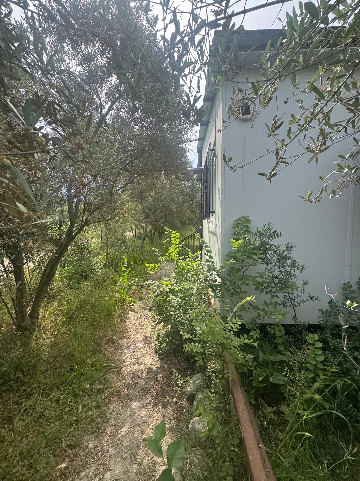 Zeytin ve meyve bahçesi 1+1 prefabrik daire - MUĞLA SEYDİKEMER fotoğraf 2