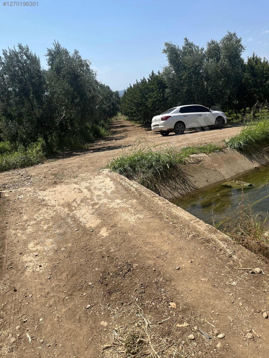 BURSA İZNİK ÖMERLİ  KÖYÜNDE 54 M² BAĞ  SATILIKTIR - BURSA İZNİK fotoğraf 14