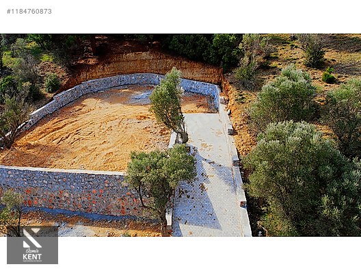 Kemalpaşa Sütçüler Satılık 873 m2 Zeytinlik - İZMİR KEMALPAŞA fotoğraf 2