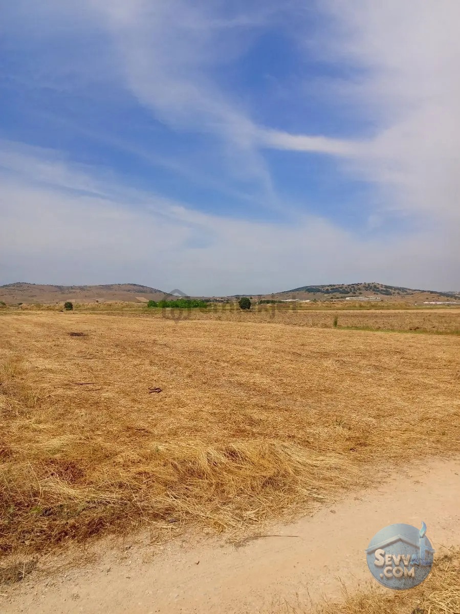 Gökçeyazı Da Kadastro Yolu Mevcut Tarla - BALIKESİR İVRİNDİ fotoğraf 20