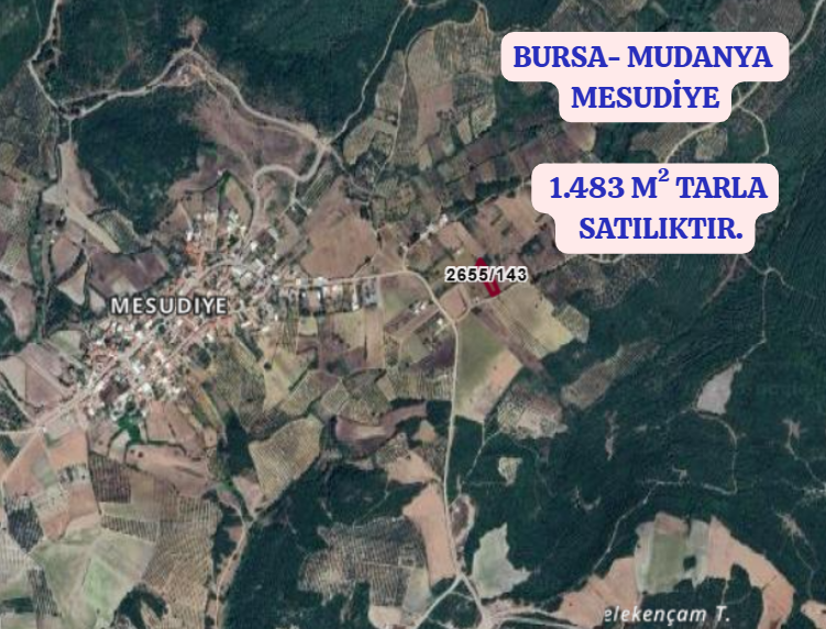 BURSA MUDANYA MESUDİYE KÖYÜNDE 1.483 M² TARLA SATILIKTIR. - BURSA MUDANYA fotoğraf 2