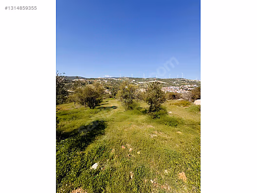 PANORAMİK MANZARALI YATIRIMLIK ZEYTİNLİK - HATAY YAYLADAĞI fotoğraf 23