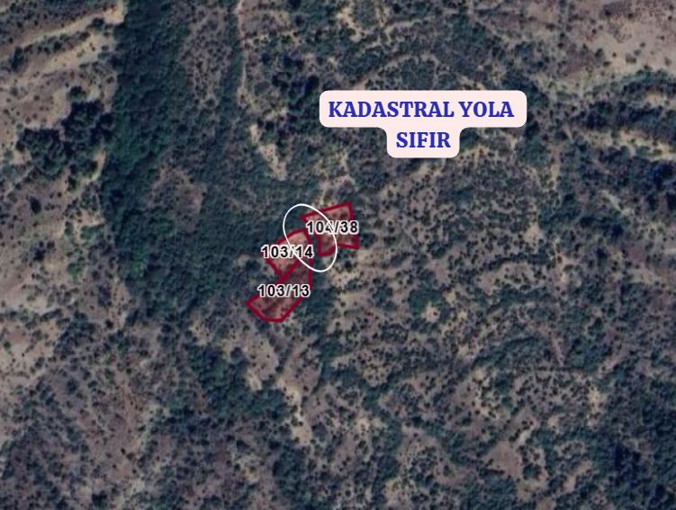 BİLECİK SÖĞÜT SIRHOCA  KÖYÜNDE 1.036  M² BAĞ   SATILIKTIR - BİLECİK SÖĞÜT fotoğraf 3