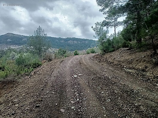 Antalya  Alanya  Fakırcalı Mahallesinde 388 m² SATILIK TARLA - ANTALYA ALANYA fotoğraf 5