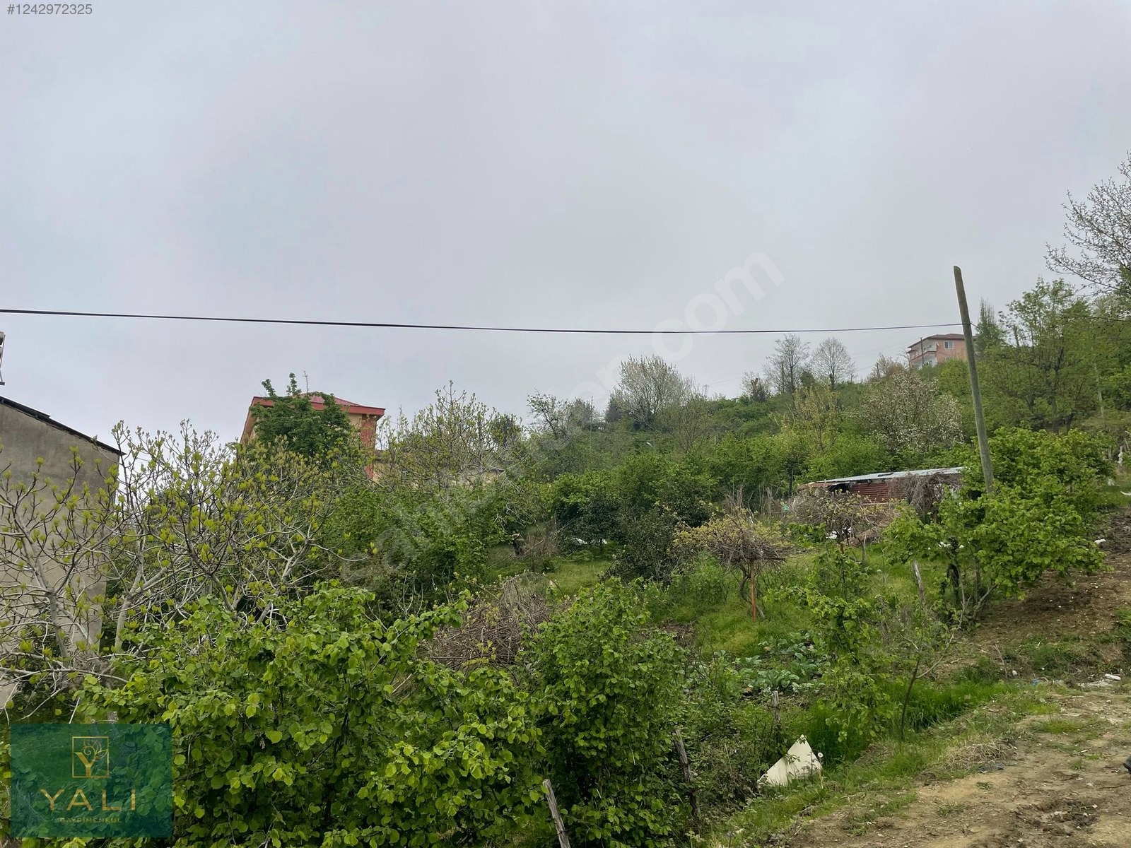 KEŞAP YOLAĞZINDA ADA DENİZ MANZARALI VİLLALIK SATILIK DÜZ ARAZİ - GİRESUN MERKEZ fotoğraf 8