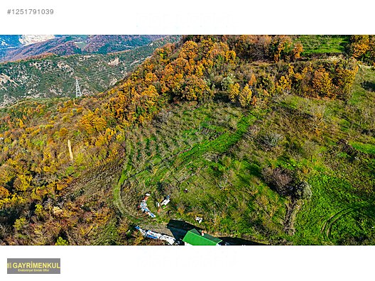 GEYVE DEREKÖYDE 1299 M2 SAKARYA NEHRİ MANZARALI TARLA - SAKARYA GEYVE fotoğraf 12