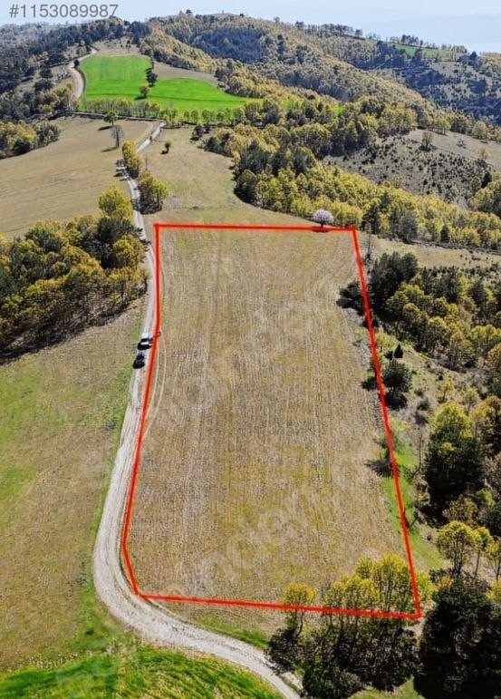 BURSA İZNİK SANSARAK  8.660  M² TARLAMIZ SATILIKTIR - BURSA İZNİK fotoğraf 5