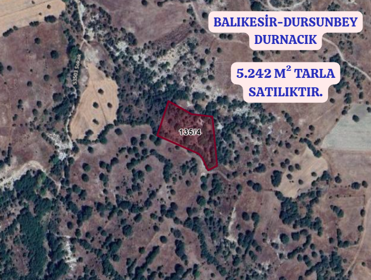 BALIKESİR DURSUNBEY DURNACIK   KÖYÜNDE 5.242  M² TARLA  SATILIKTIR - BALIKESİR DURSUNBEY fotoğraf 2
