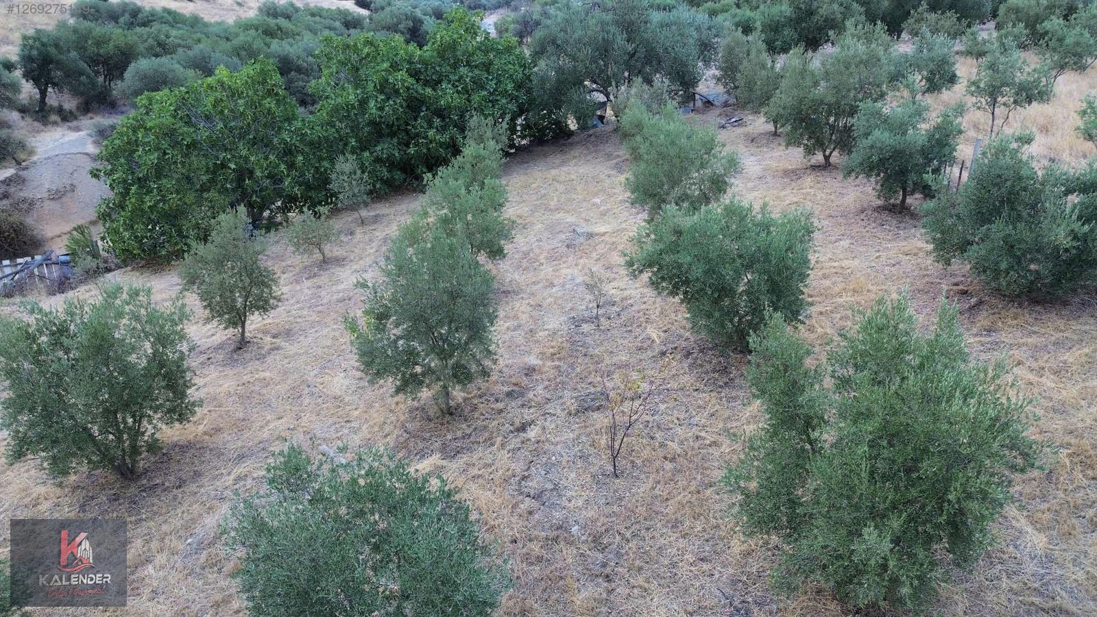 KALENDER EMLAKTAN DERBENTTE SATILIK 1.150 M2 TEK TAPU ZEYTİNLİK - MANİSA TURGUTLU fotoğraf 7