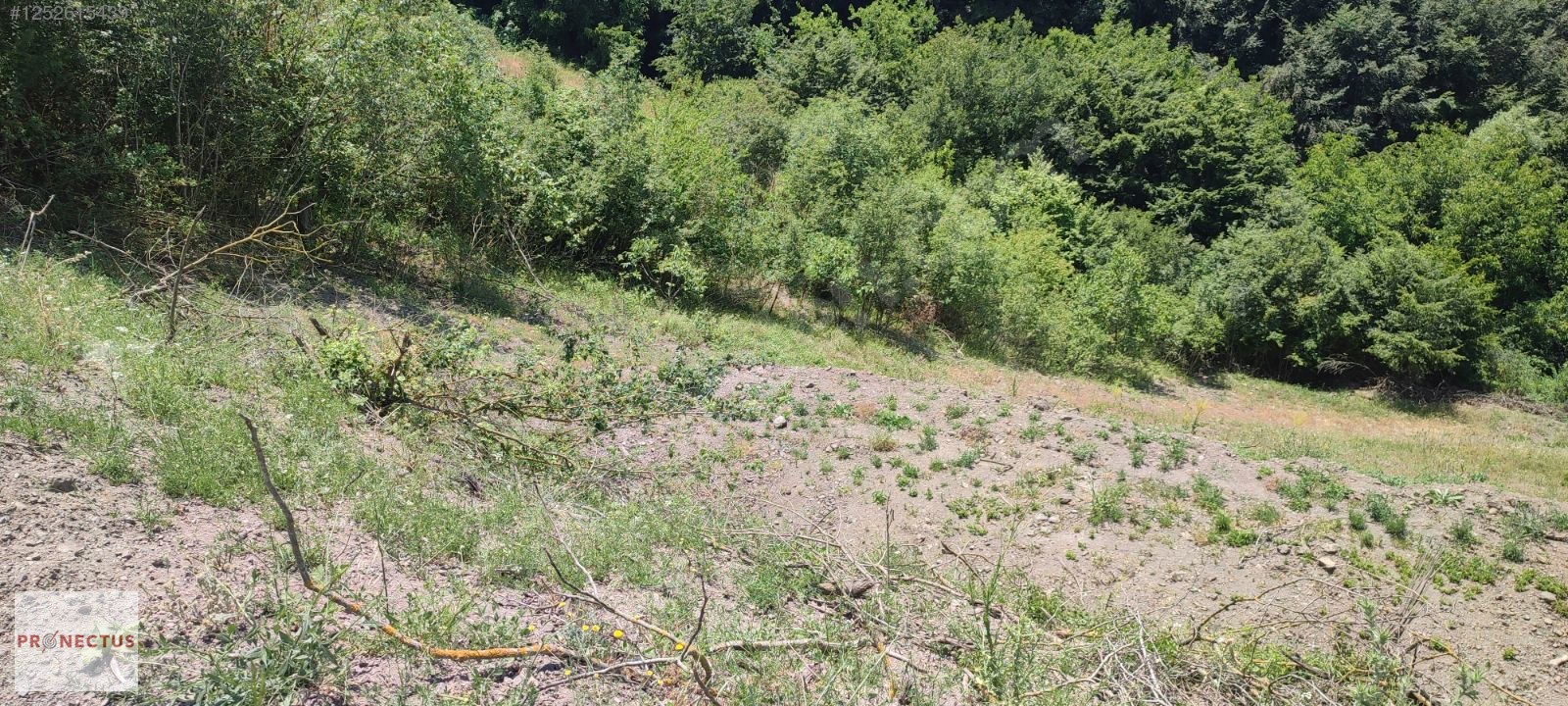 FULACIK MAHALLESİ'NDE ASFALT YOLA CEPHE 836 M2 SATILIK TARLA - KOCAELİ KARAMÜRSEL fotoğraf 9