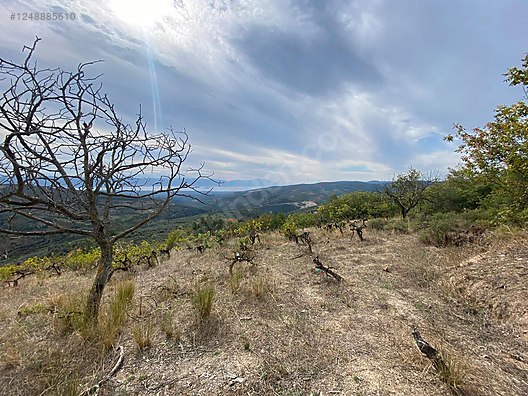 BURSA İZNİK TACİR MAHALLESİ'NDE 3.400 M² TARLAMIZ SATILIKTIR - BURSA İZNİK fotoğraf 5