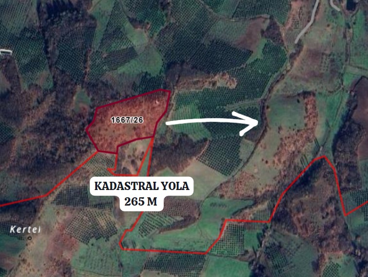 BURSA GEMLİK MURATOBA KÖYÜ’NDE 24.905 M²TARLA SATILIKTIR - BURSA GEMLİK fotoğraf 3
