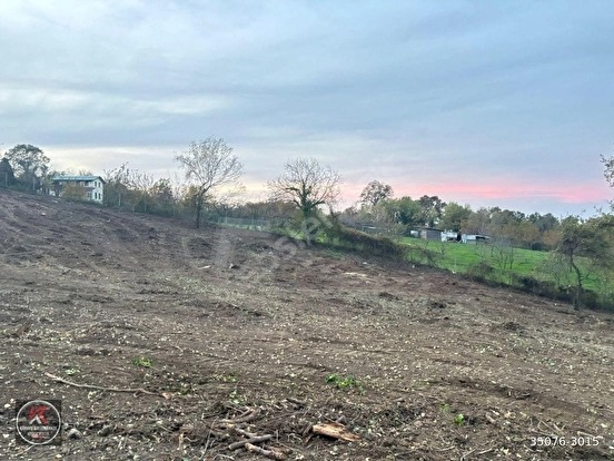 KARAMÜRSEL DEREKÖY’DE 19.309 M² KONUT ALANLI, TARIMSAL KULLANIMA UYGUN YATIRIM A - KOCAELİ KARAMÜRSEL fotoğraf 20
