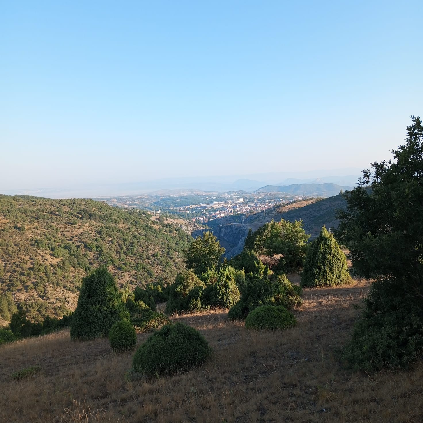 yatırımlık arazi SON FIYAT - BİLECİK SÖĞÜT fotoğraf 2