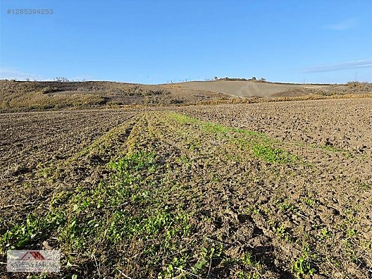 OVAAZATLI 930 M2 TARLA - BURSA MUSTAFAKEMALPAŞA fotoğraf 9