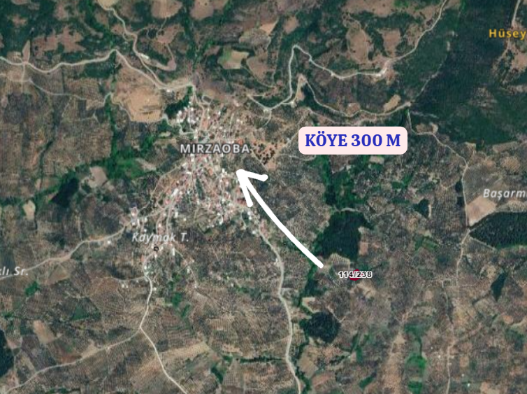 BURSA MUDANYA MİRZAOBA KÖYÜNDE 1.161 M² ZEYTİNLİK SATILIKTIR. - BURSA MUDANYA fotoğraf 4