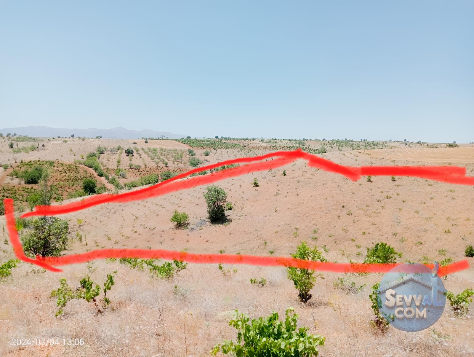 KARAMAN MERKEZ MURATDEDE KÖYÜNDE 5.746 M² ÜZÜM BAĞI SATILIKTIR - Karaman Merkez fotoğraf 11