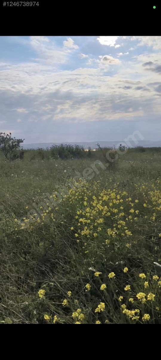 sahibinden satılık arsa yer Büyük çekmece - İSTANBUL BÜYÜKÇEKMECE fotoğraf 9