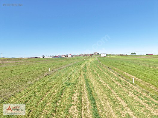 Kandıra Hacışeyh Mahallesinde Yerleşime Yakın 1975 m² Tarla ! - KOCAELİ KANDIRA fotoğraf 16