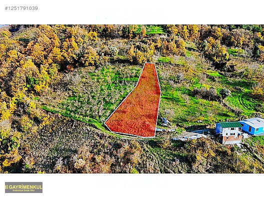 GEYVE DEREKÖYDE 1299 M2 SAKARYA NEHRİ MANZARALI TARLA - SAKARYA GEYVE fotoğraf 16