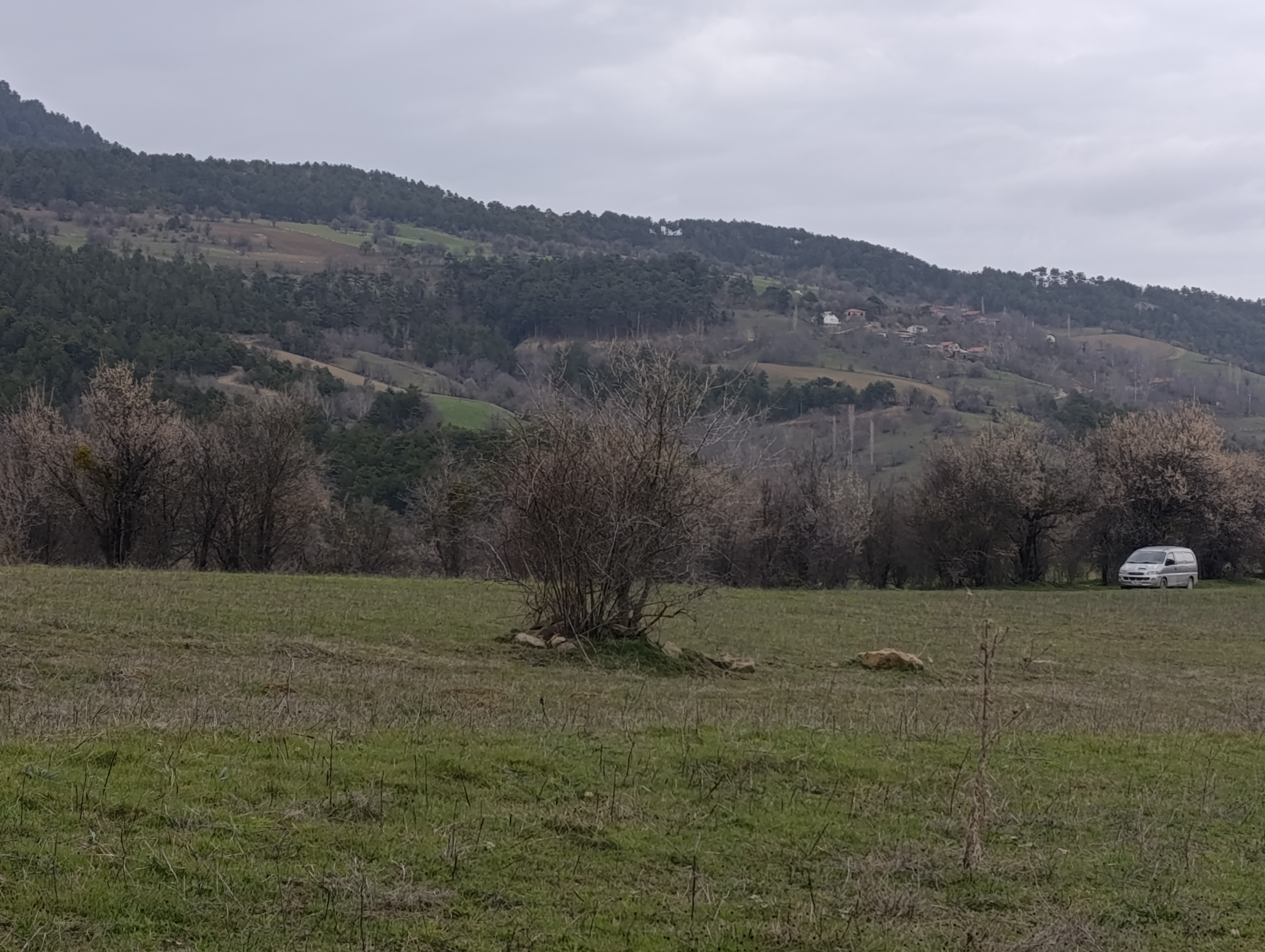 BOLU GÖYNÜK BOZCARMUT KÖYÜNDE KÜMES YERİ - BOLU GÖYNÜK fotoğraf 10