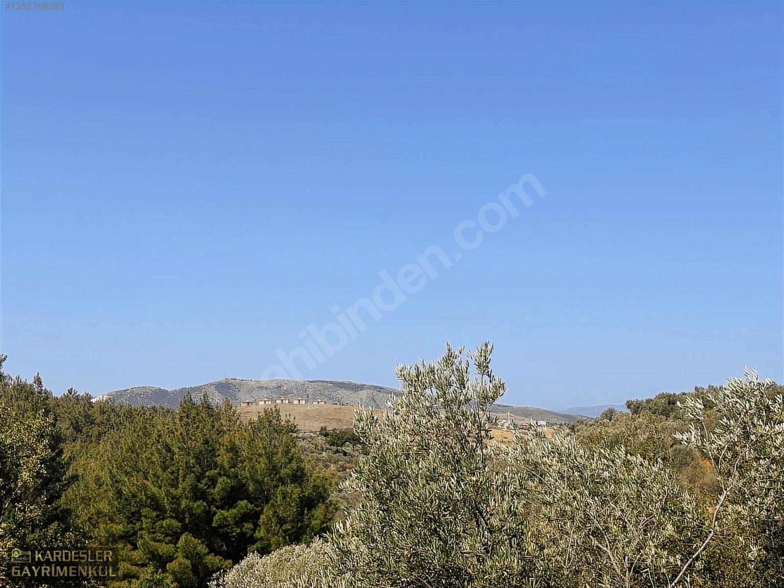 SATILIK CUMHURİYET MAHALLESİNDE TEK TAPU 4.489m2 ZEYTİNLİK - MANİSA AKHİSAR fotoğraf 8
