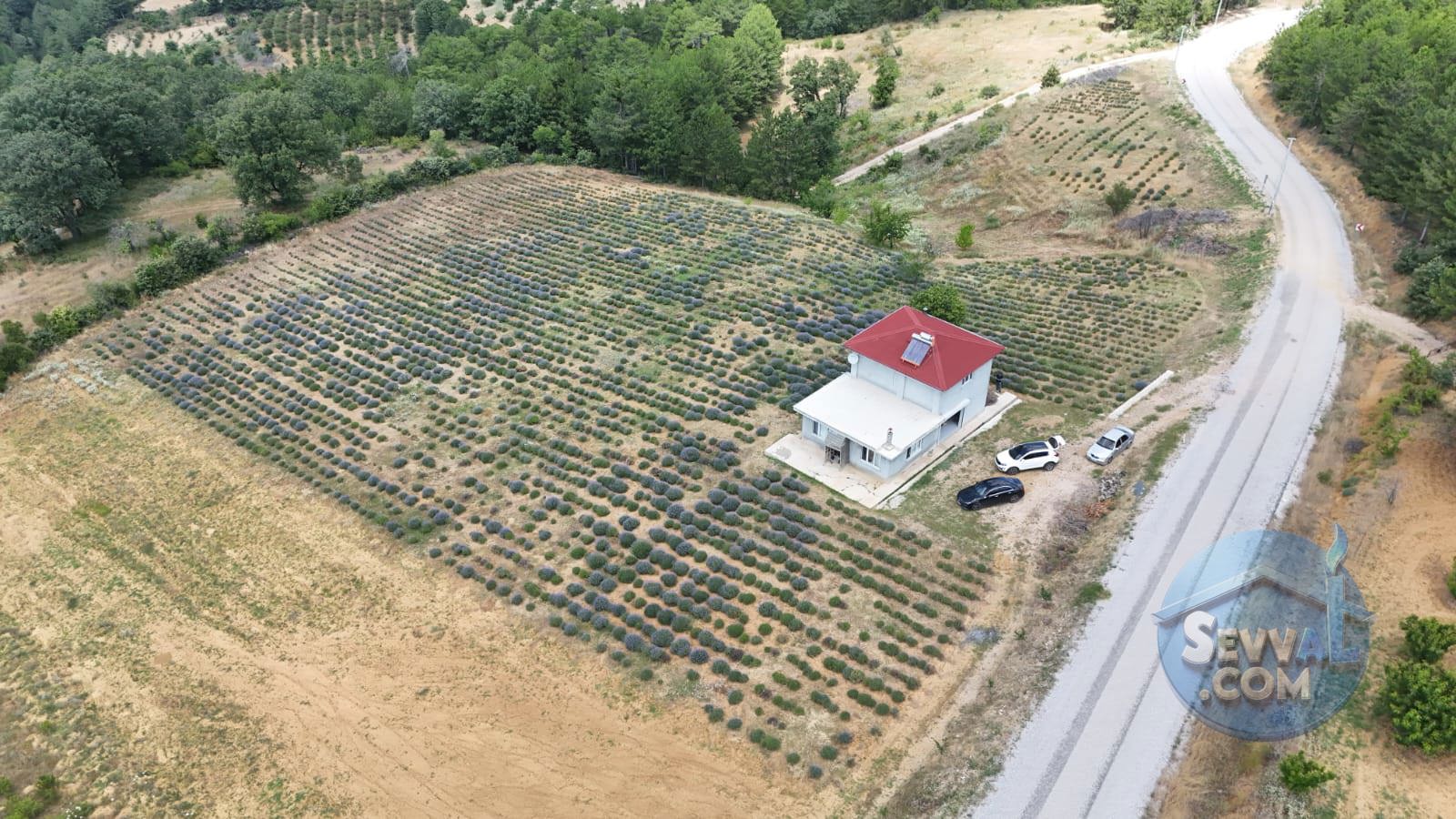 Kütahya'da 14.035m² İçerisinde Lavanta Bahçesi-Yağ Sıkma Fab.-Evi Satılıktır - KÜTAHYA ŞAPHANE fotoğraf 20