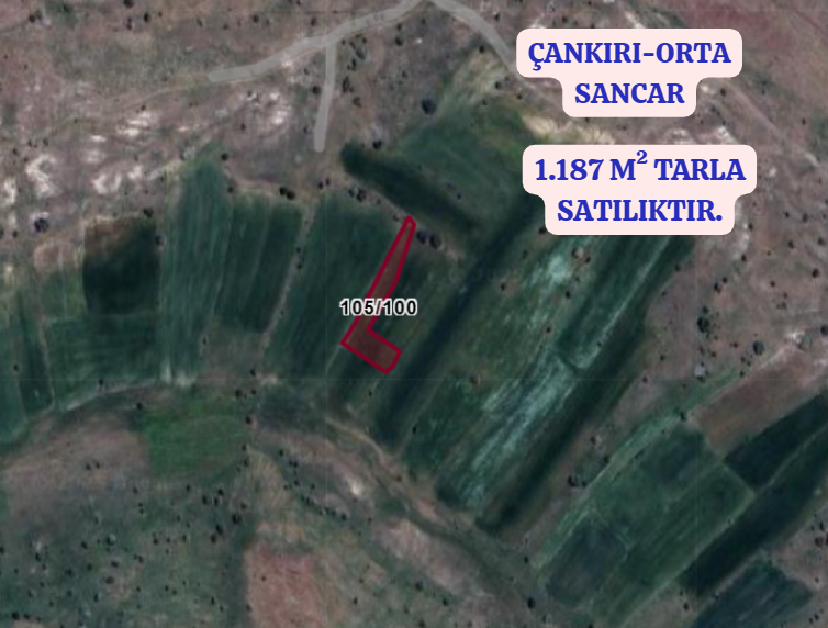 ÇANKIRI ORTA SANCAR  KÖYÜNDE 1.187  M² TARLA  SATILIKTIR - ÇANKIRI ORTA fotoğraf 2