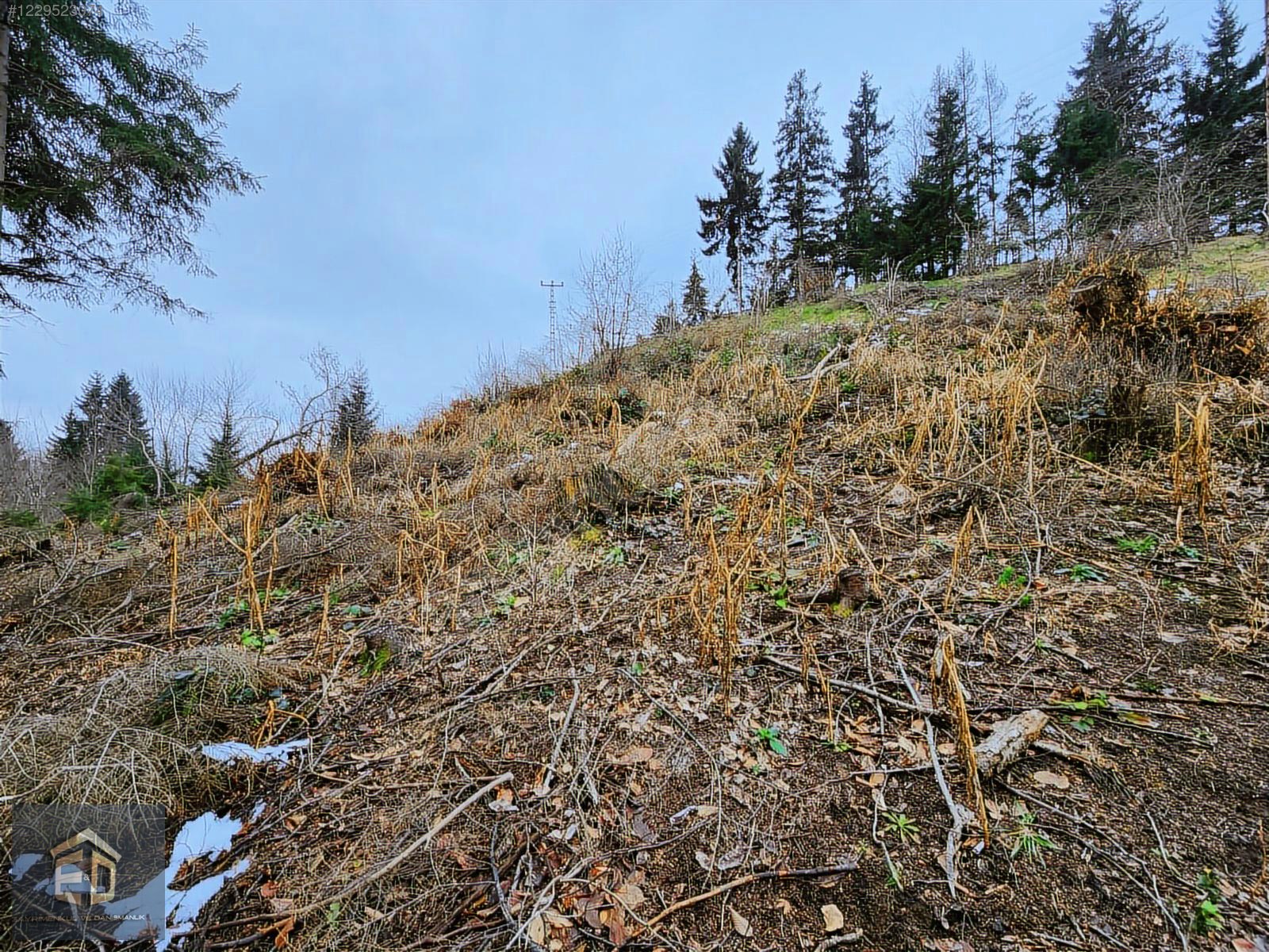 E&D GYO'DAN TRABZON KAVALA'DA SATILIK 1050 M² MANZARALI ARSA - TRABZON ORTAHİSAR fotoğraf 11